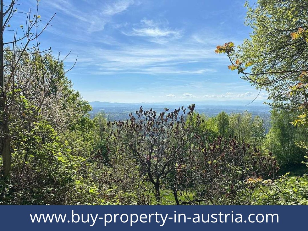 buy-property-in-austria-bad gams-8524-20251010221816-0032401009.jpg
